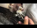 Regen Temperature out of range low SPN 3556 FMI 1 Where to start and what to look for
