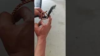 شبكة ربط حبل وإصلاح فيديو تعليمي 