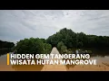 Lagu Hidden Gem Tangerang! Mancing \u0026 Wisata Keluarga di Hutan Mangrove Teluknaga