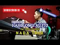 Download Lagu HAHOLONGI AU ITO - NIRWANA TRIO || KARAOKE TRIO