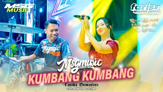 kumbang kumbang cantika nuswantoro msg music ft faris and friend live purwodadi jateng 2026