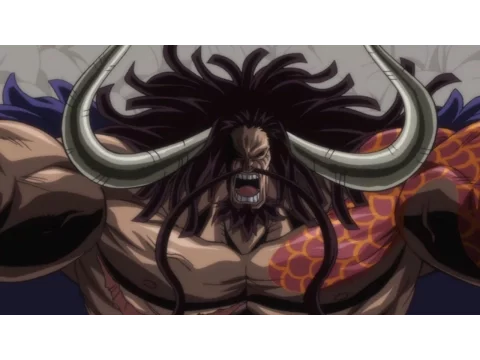Kaido's Commanders and Crew | One Piece