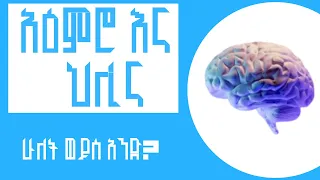 አዕምሮ እና ህሊና አንድ ናቸው አዕምሯችን ስንት ክፍሎች አሉት The Distinction Between Brain And Mind Explained 