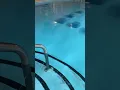 Bioenergetic Pool at The Tesla Medbed Center - Wellness Hotel
