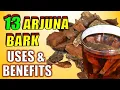 Download Lagu 13 POWERFUL Arjuna Bark Health Benefits | ARJUNA Powder \u0026 Tea Uses