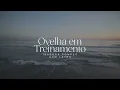 Isadora Pompeo - Ovelha em Treinamento - Com Letra