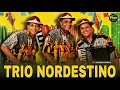 Download Lagu Trio Nordestino - O MELHOR DO XOTE / O MELHOR DO FORRÓ PÉ DE SERRA