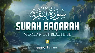 Surah Al Baqarah Full سورة البقره Relaxing Calming Heart Touching Quran Zikrullah TV 