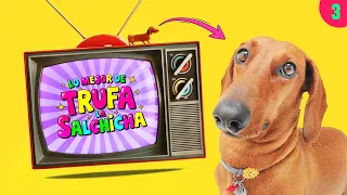 Lo MEJOR de Trufa la Salchicha! 🌭 | Salchi-Visión Ep:3 💖