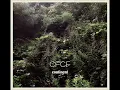 CFCF - Raining Patterns