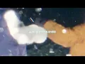 Movements - Everything Is Fine (Lyric Video)