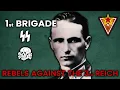 Download Lagu Druzhina SS Brigade against the 3rd reich - The Eastern Front of WW2