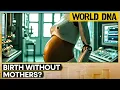 Download Lagu China Introduces Robot Pregnancy With Artificial Womb, Shaping the Future of Birth | WION World DNA