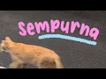 Download Lagu sempurna -andra and the backbone (slowed /tiktok version.) (#reverb#slowed#filter