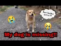 Download Lagu leo kahi chala gya😢 | Real video | worst feeling💔 | yeh kya hogya yrr😭 | Anant rastogi