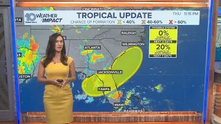 Disturbance off Florida s Gulf coast has small chance of developing this weekend NHC says