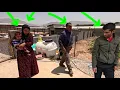 Download Lagu Will Tayyiba return to Ghadir for the sake of her children?