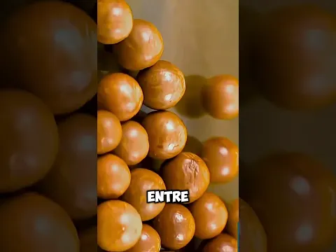 El macadamia: uno de los frutos secos más caros del mundo 🥜💰