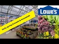 2023 March Inventory Lowes NJ Spring Blooming Annuals Perennials Backyard Garden Highlights