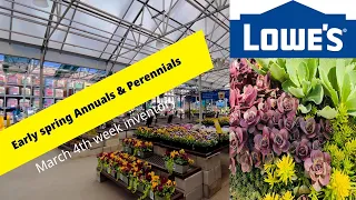 2023 March Inventory Lowes NJ Spring Blooming Annuals Perennials Backyard Garden Highlights