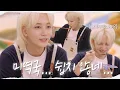 Download Lagu [하니왔쫑] 오늘은 정한이 생일🎉 | 아이고야가 절로 나오는(?) 셀프 미역국 만들기🍴🎁