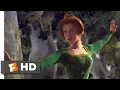 Shrek - Princess Fiona vs the Merry Men Fandango Family