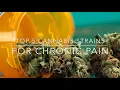 Top 5 Cannabis marijuana strains for chronic pain