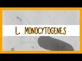 Download Lagu Listeria Monocytogenes