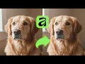Unleash CRISP Images High Pass Filters in Affinity