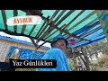 Download Lagu Ayvalık'ta Dolce Vita: Yaz Günlükleri / Sahilkent