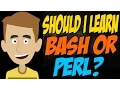 Should I Learn Bash or Perl