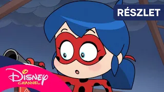 🕷️ Bosszantó pók | Miraculous Chibi [RÖVIDFILM] | Disney Csatorna