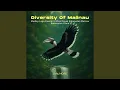 Download Lagu Diversity Of Malinau (Medley Lagu Daerah 11 Etnis Dayak: Bulungan, Tidung, Kenyah, Kayan,...