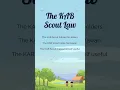 The KAB Scout Law