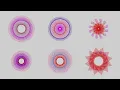 Back To Basics - Simple Shapes Rotated Often