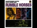 この古着は誰が着ていたんだろう（“Rumble Horses” Live at ZEPP TOKYO...