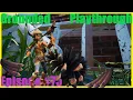 Grounded Episode 75 - Looking for pinecone pieces