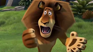 The Day Alex Got Sick Madagascar Aquaverse Cinema