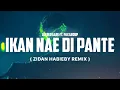 IKAN NAE DI PANTE ( ZIDAN HABIEBY REMIX ) 2024