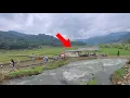 Download Lagu Siapa Sangka‼️Saung Di Tengah Sawah Dekat Sungai Deras Ini Sering Dikunjungi Banyak Orang