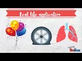 Gas Laws Real Life Application