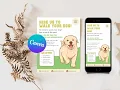 Editable Dog Walking Flyer Canva Template