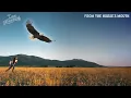 Ian Munsick - From the Horses Mouth (Visualizer)