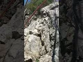 Pet the Rabbits Hanging Mountain 5 12