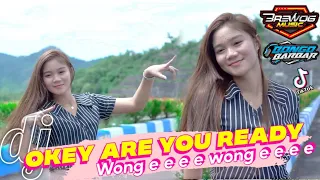 dj okey are you ready wong e e e e wong e e e e feat bongo barbar slow bass horegg versi thailand