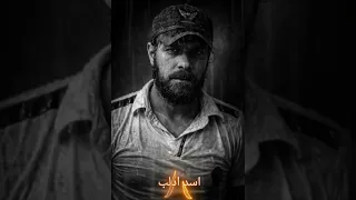 وشوش مختلفه لكن  نفس النار  القديمة     دندنها