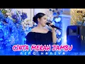 Download Lagu CINTA MERAH JAMBU || NING HANIYA || ACS PRO AUDIO