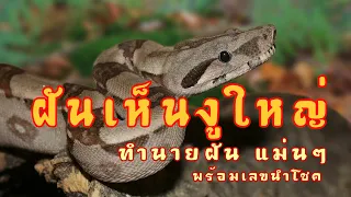 ทำนายฝัน แม่นๆ ฝันเห็นงูใหญ่ ฝันเห็นงูใหญ่หลายตัว ฝัน ฝันเห็น ฝันว่า เลขนำโชค