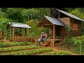 Download Lagu Dengan bakatnya yang luar biasa, sang CEO mengubah rumah itu menjadi sebuah karya seni. #Trieu Dan