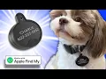 2-in-1 Pet Tag - an Apple Find My Tracker Pet Identification